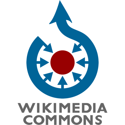 Wikimedia: More Than Wikipedia 6 Wikimedia Commons