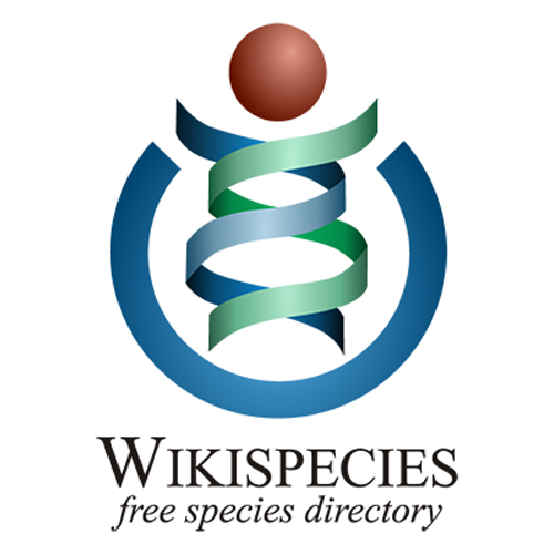 Wikimedia: More Than Wikipedia 7 Wikispecies