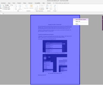 Tệp Scanner PDF chỉ có thể copy nội dung dưới dạng hình ảnh