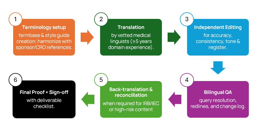 Professional Clinical Trial Translation Process